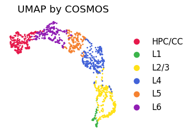 _images/Cosmos_mouseVisualCortex_example_16_1.png