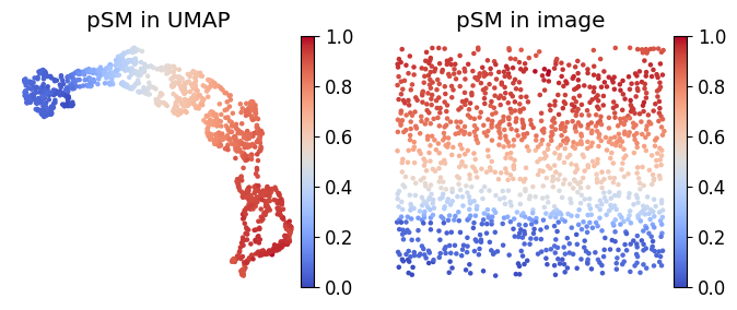 _images/Cosmos_mouseVisualCortex_example_18_0.png